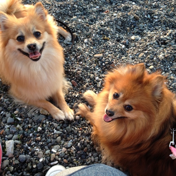 Meet your Posher, Vicky - Picture 7 of 8